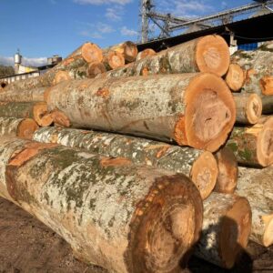 European Logs